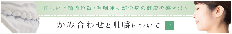 正しい下顎の位置・咀嚼運動が全身の健康を導きます かみ合わせと咀嚼について